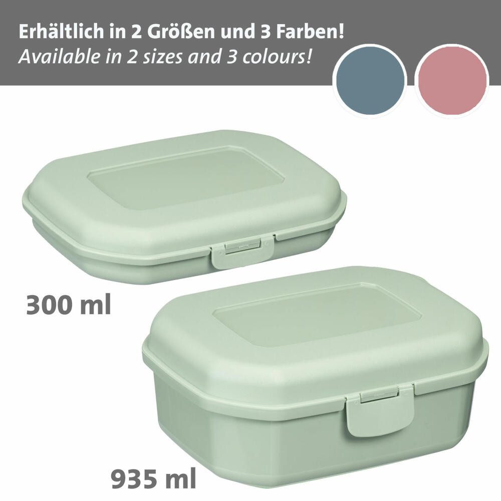 WESTMARK Lunchbox 3 Stk., Brotdosen/Snackboxen, mit Klick-Verschluss, Höhe: ca. 3,7 cm, PP, BPA-frei