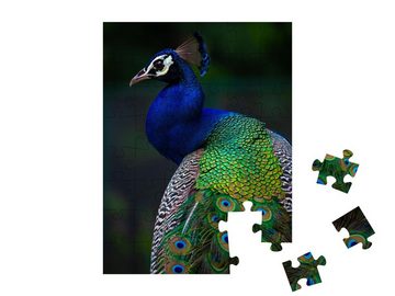 puzzleYOU Puzzle Indischer Pfau, Nahaufnahme mit Pfauenkopf, 48 Puzzleteile, puzzleYOU-Kollektionen Pfauen, Tiere in Dschungel & Regenwald