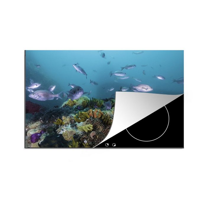 MuchoWow Herdblende-/Abdeckplatte Korallenriff im klaren Meer Vinyl (1 tlg) Ceranfeldabdeckung für die küche Induktionsmatte