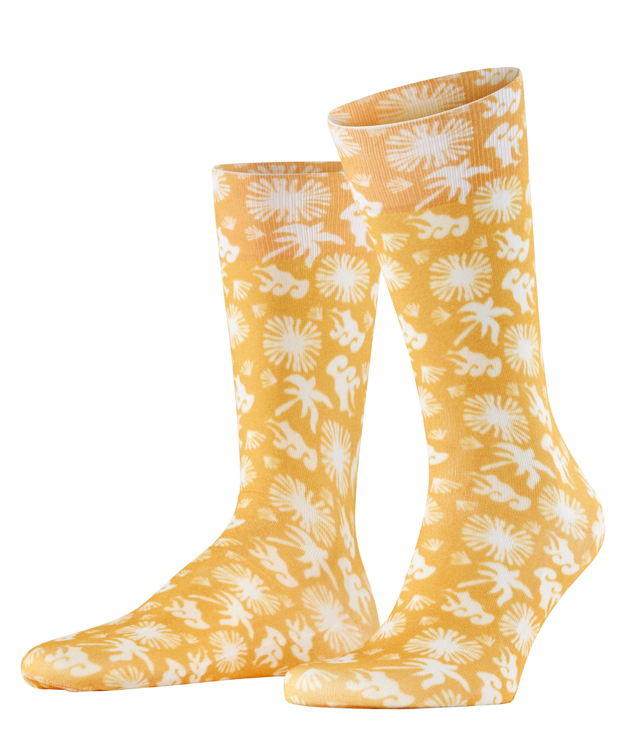 corn (1334)