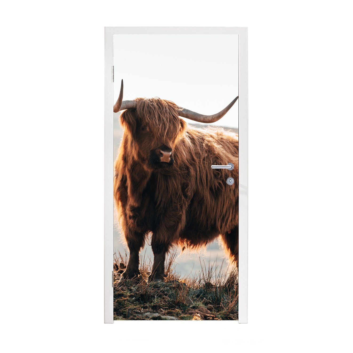 MuchoWow Türtapete Schottische Highlander - Tiere - Ländlich - Landschaft - Kuh - Natur, Matt, bedruckt, (1 St), Fototapete für Tür, Türaufkleber, 75x205 cm