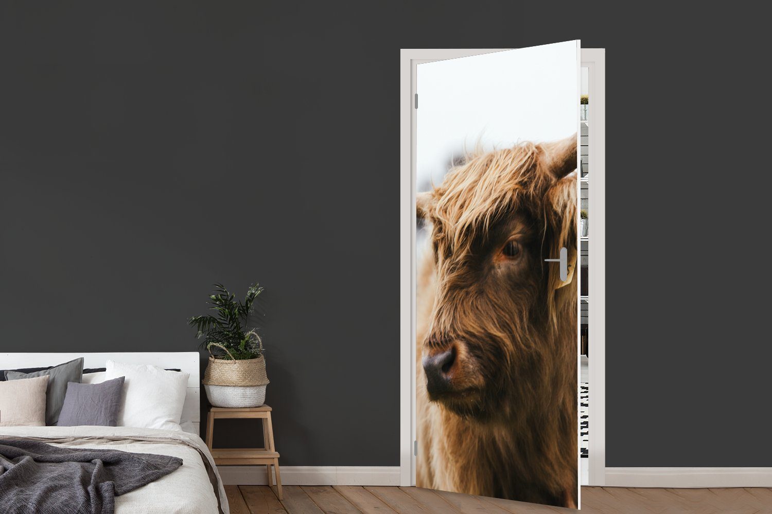 75x205 Tür, MuchoWow Türaufkleber, - Fototapete Türtapete Schottischer bedruckt, für Tiere Hörner, Highlander cm Matt, St), (1 -