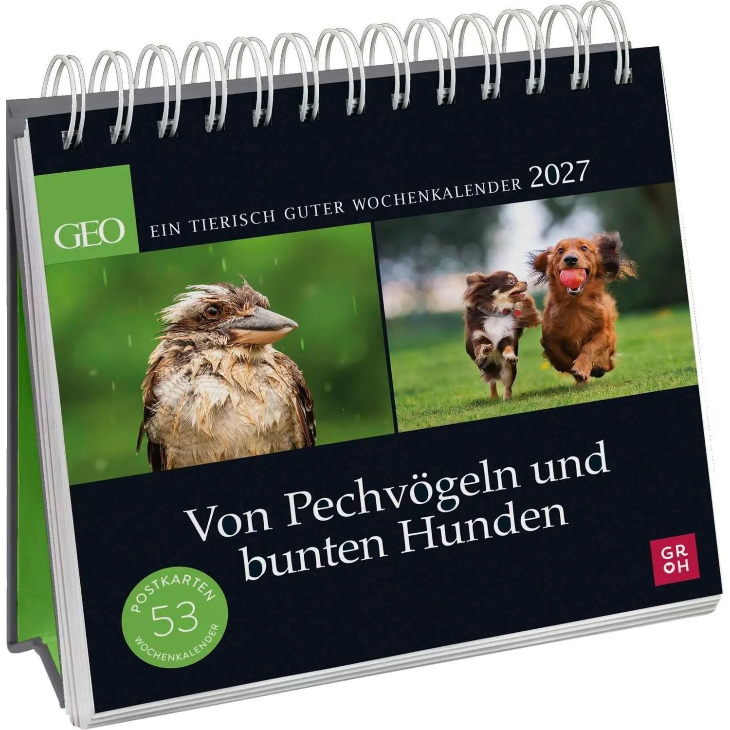 Schreibtischkalender Postkartenkalender 2027: Von Pechvögeln und bunten Hunden
