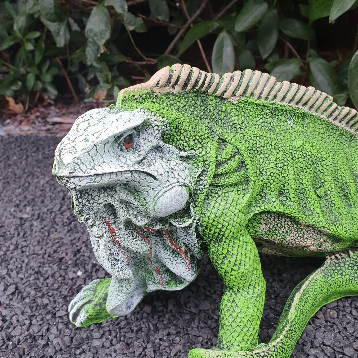 Aspinaworld Gartenfigur cm 55 lang wetterfest Figur Leguan