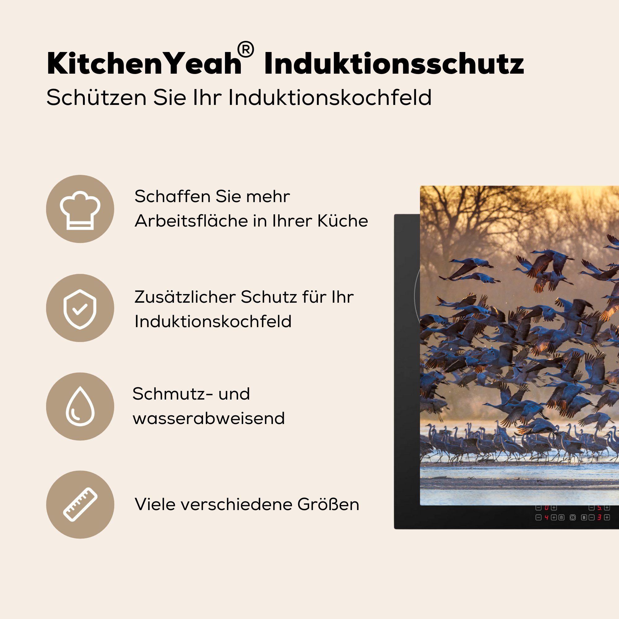 aus 81x52 Vinyl, steigen dem Wasser, die in für Induktionskochfeld Ceranfeldabdeckung Schutz Herdblende-/Abdeckplatte (1 tlg), Kranichschwärme cm, MuchoWow Nebraska küche,