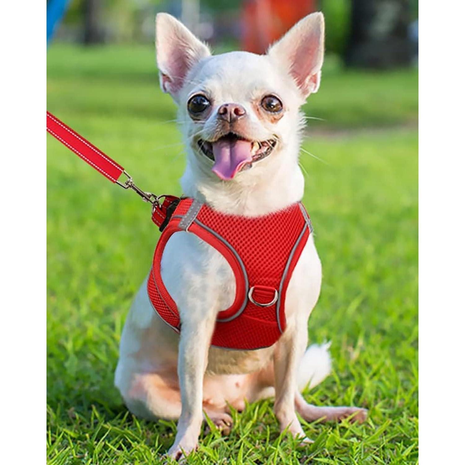 LuxusKollektion Hunde-Geschirr Hundegeschirr Brustgeschirr Reflektierend AirMesh XS-Brust:34-38cm Rot
