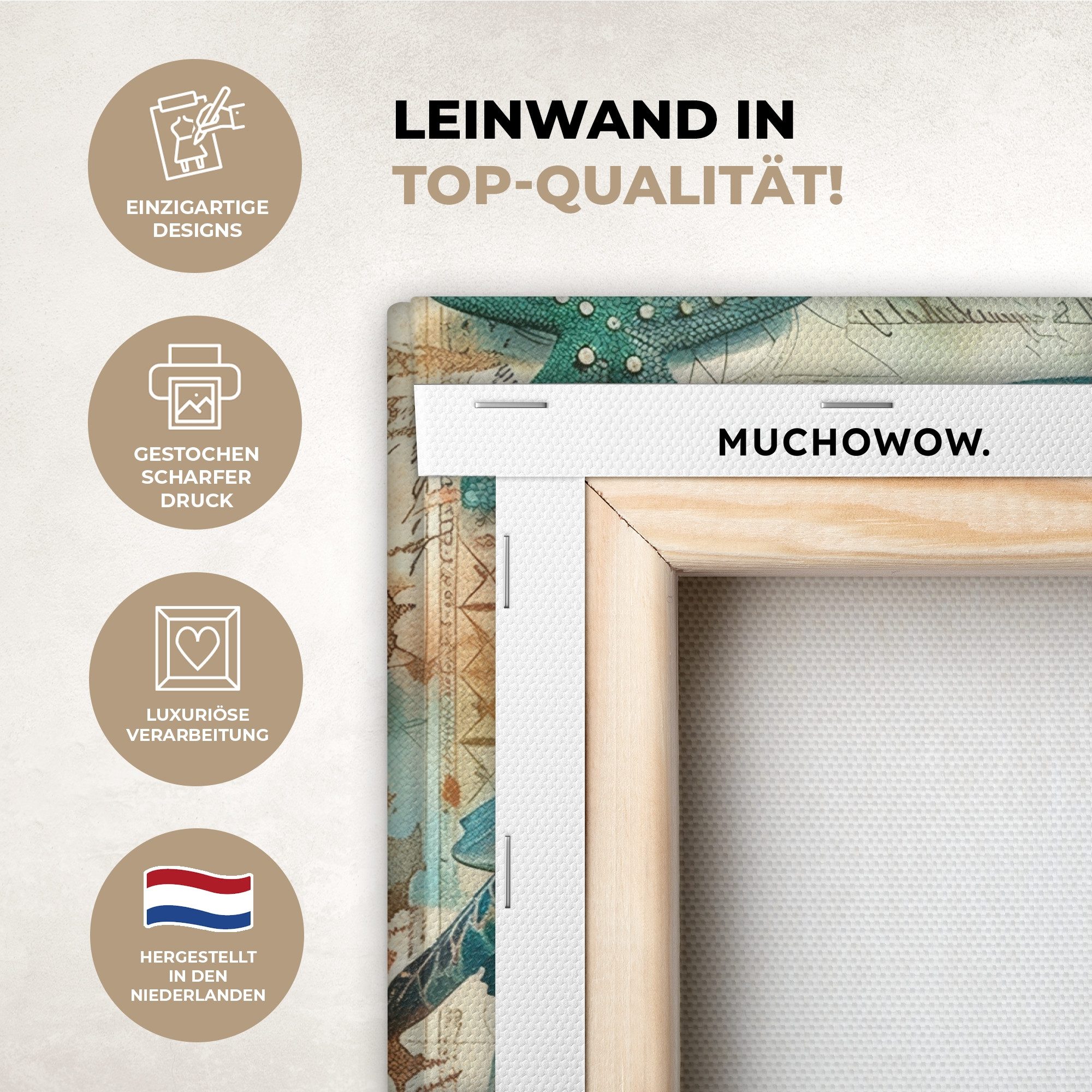 OneMillionCanvasses® Leinwandbild Weinlese - Schildkröte - günstig online kaufen