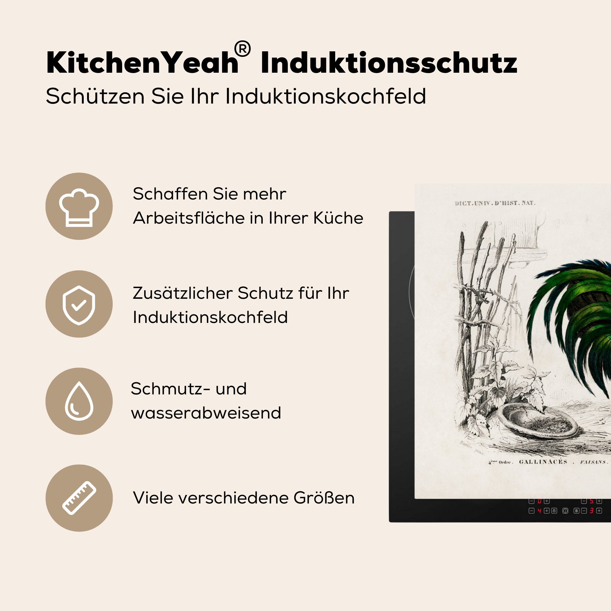 Herdblende-/Abdeckplatte Induktionskochfeld Vinyl, (1 81x52 küche, - die Ceranfeldabdeckung für - MuchoWow Schutz Vogel Jahrgang, tlg), Hahn cm,