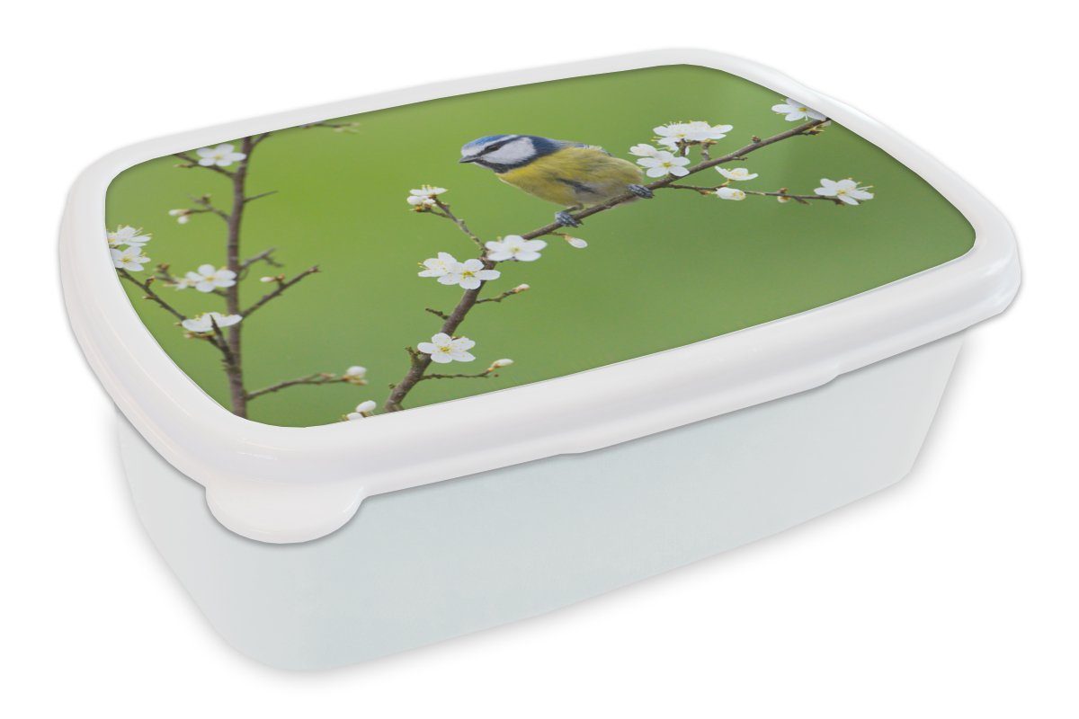 MuchoWow Lunchbox Blaumeise - Zweig - Blumen - Blühende Zweige - Vogel, Kunststoff, (2-tlg), Brotbox für Kinder und Erwachsene, Brotdose, für Jungs und Mädchen weiß