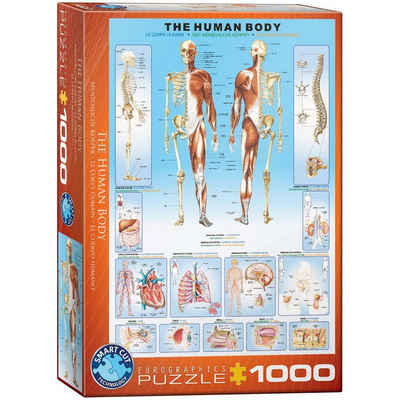 empireposter Puzzle Der menschliche Körper - 1000 Teile Puzzle Format 68x48 cm., 1000 Puzzleteile