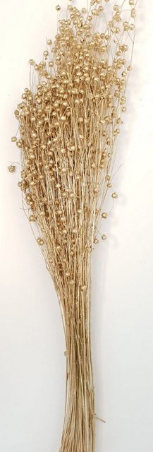 Trockenblume »The Lino«, Everflowers, Höhe 60 cm-Otto