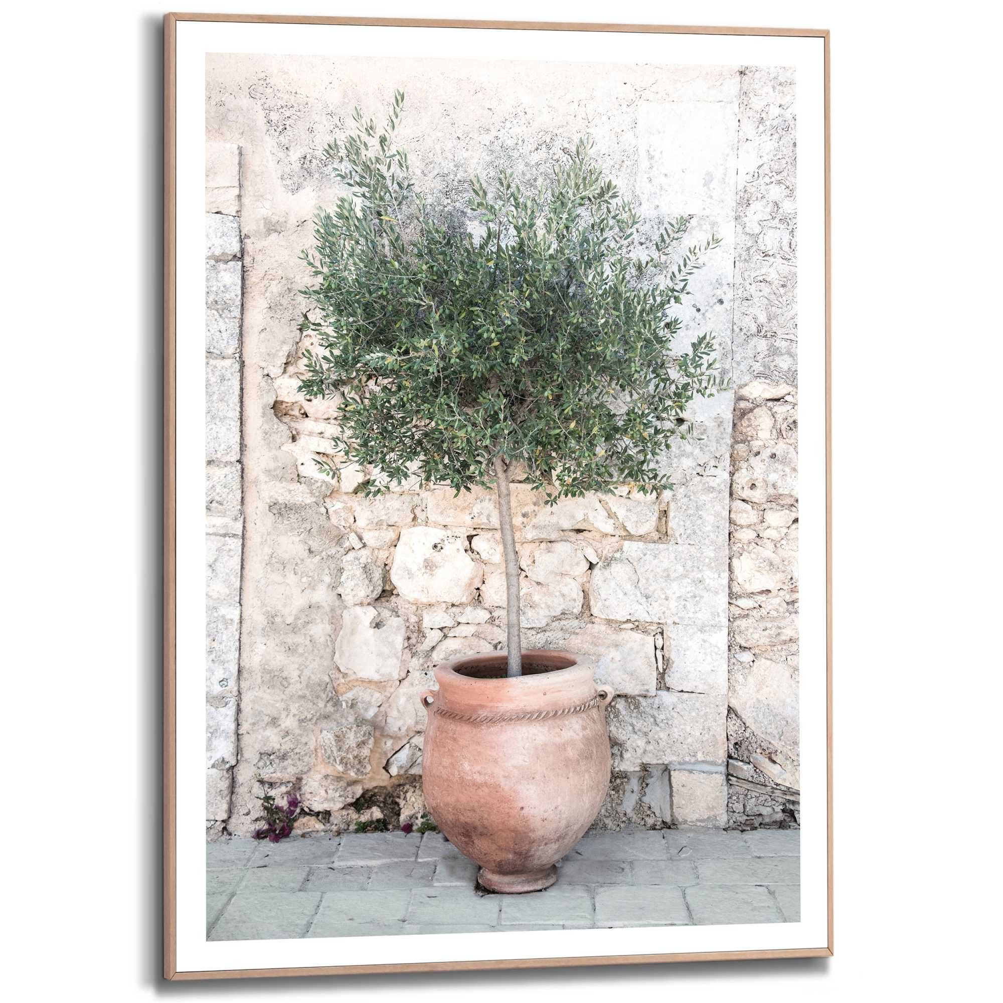 Reinders! Bild mit Rahmen Olive Tree günstig online kaufen