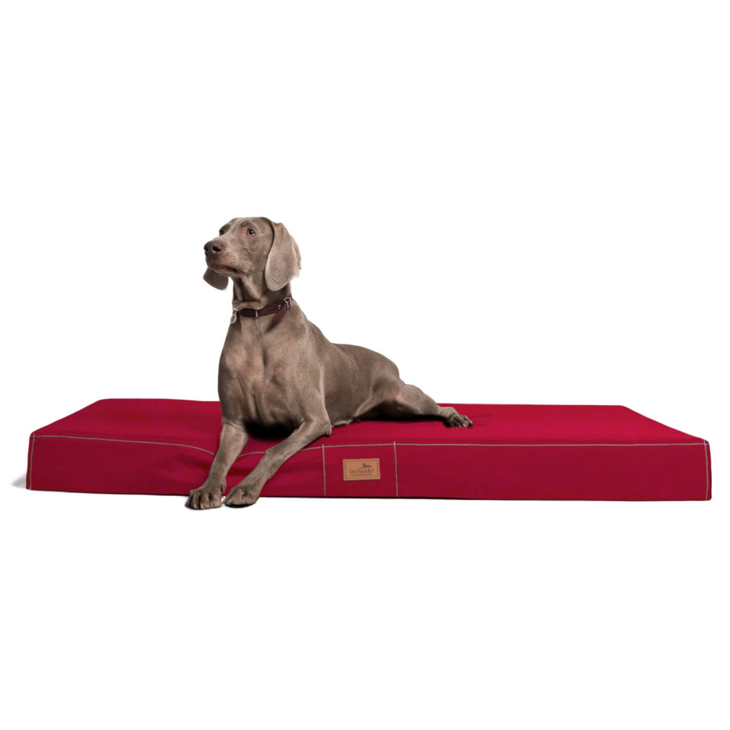 tierlando® Tierbett Orthopädische Hundematratze HUGO Ortho günstig online kaufen