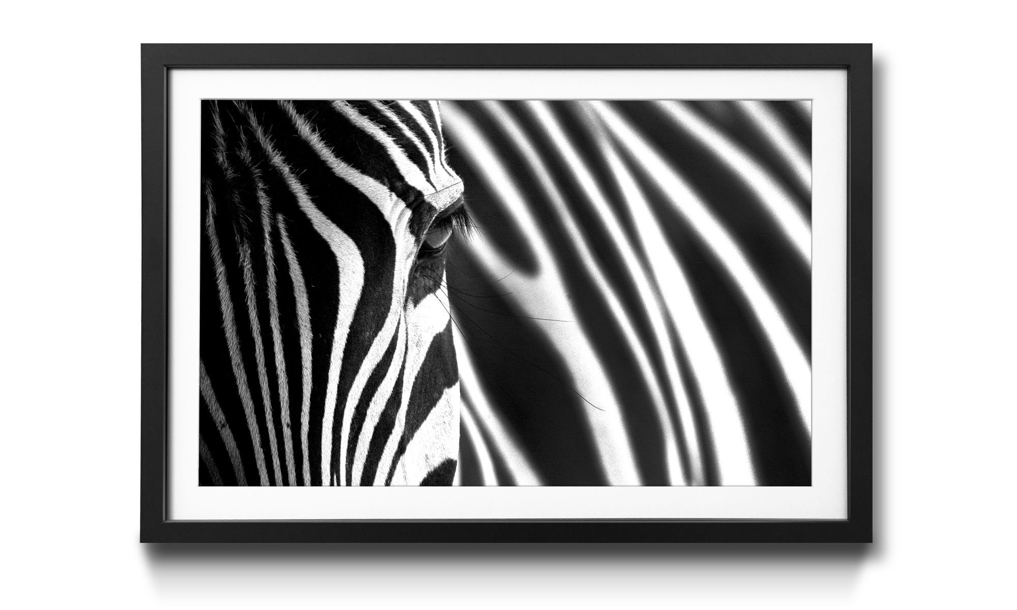 WandbilderXXL 4 Größen erhältlich Kunstdruck Animal Wandbild, Tiere, in Stripes,