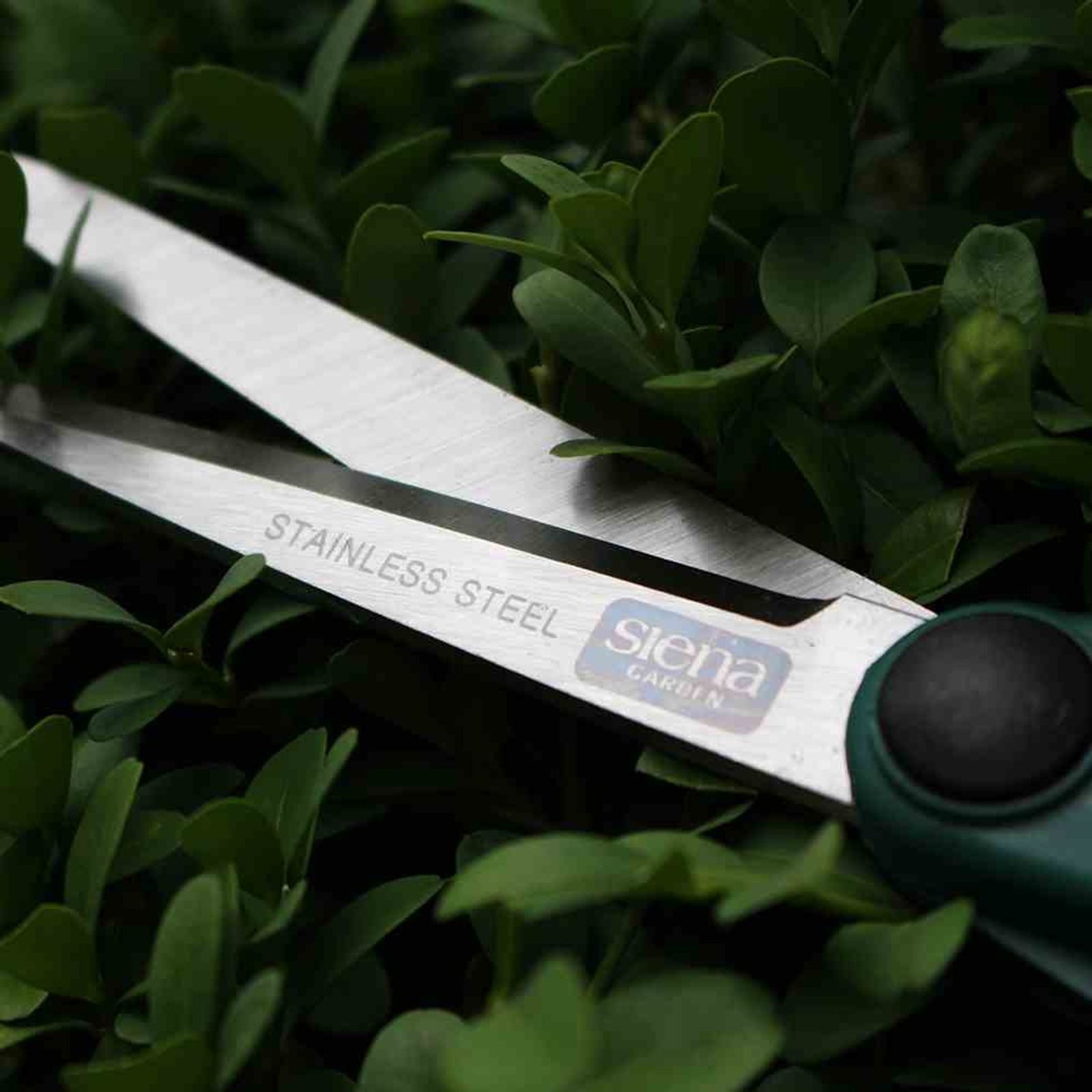 Siena Garden Grasschere Formschnittschere CB2100 27cm Gartenschere Astschere Rosenschere Scher