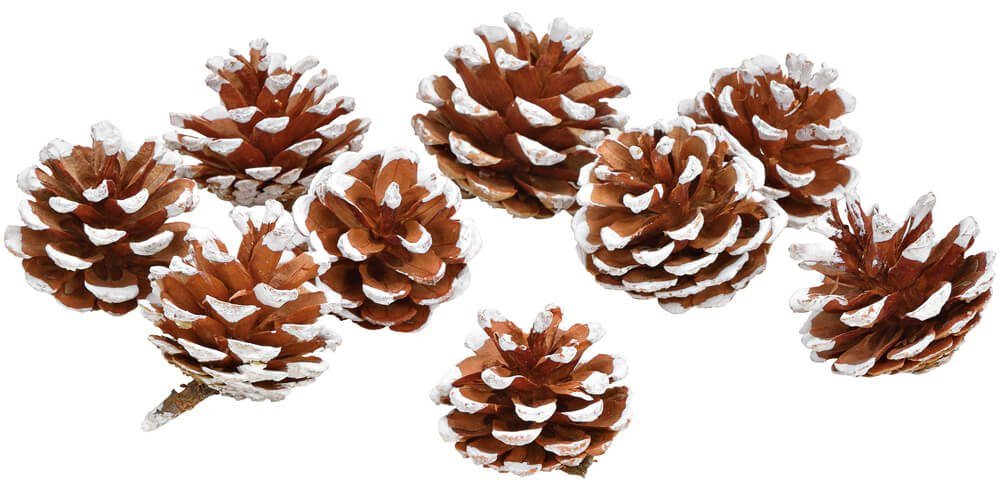 matches21 HOME & HOBBY Bastelnaturmaterial Kleine Tannen-Zapfen Streudeko mit weißen Spitzen 9 Stk. in 4x5 cm, (9-tlg), Weihnachten Deko-Zapfen zum Basteln und Weihnachtsbaum-Schmuck. € 5,79