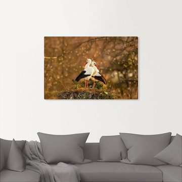 Artland Leinwandbild Storchenpaar, Vogelbilder (1 St), auf Keilrahmen gespannt