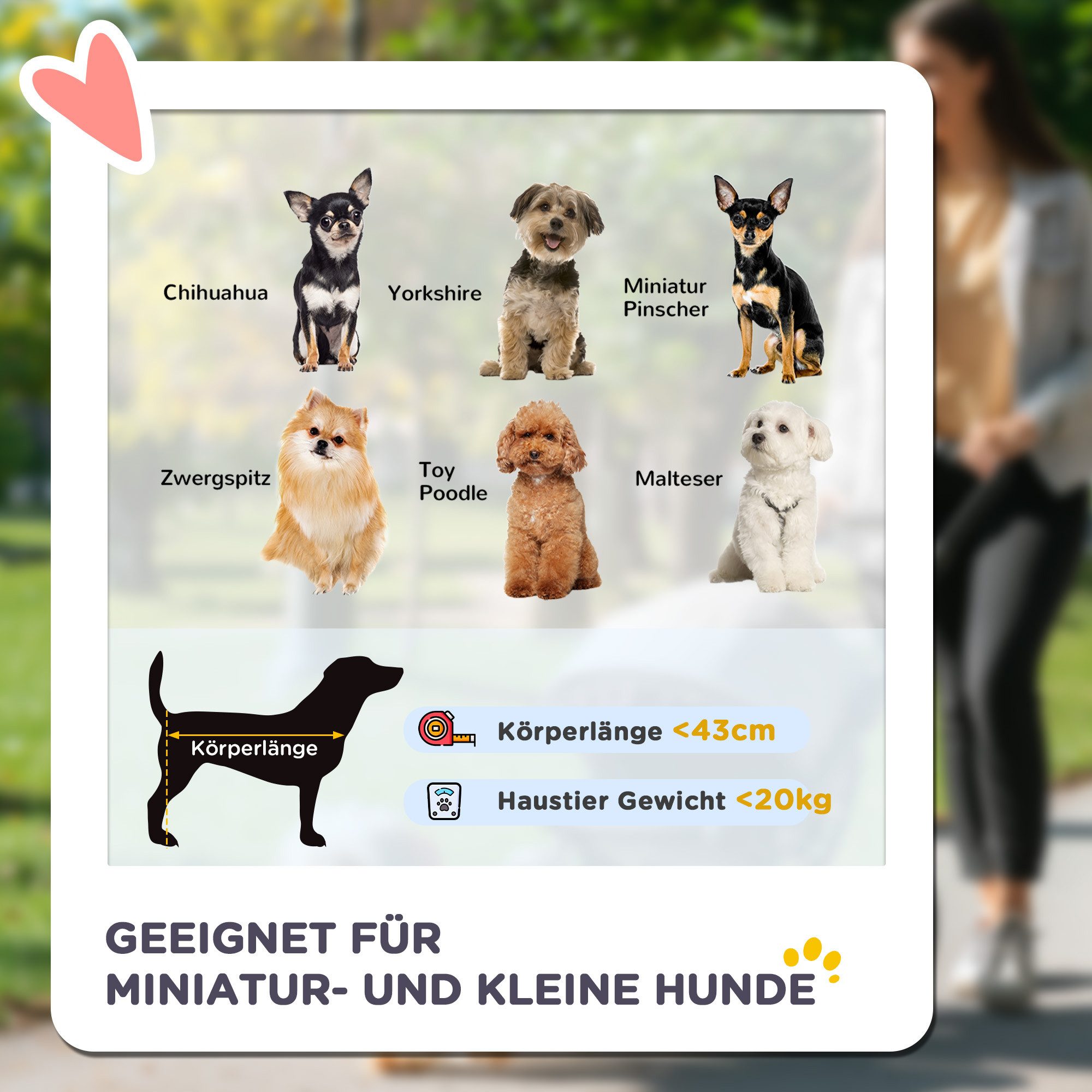 PawHut Hundebuggy Katzenwagen mit geländegängige Gummiräder Kissen Buggy, (Hundewagen, 1-tlg), für Hunde & Katzen bis 20 kg, Grau – Bild 4 von 5