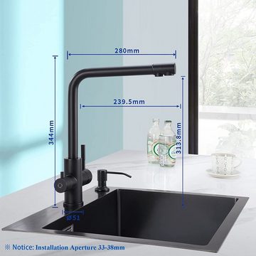 CECIPA Spültischarmatur 3 Wege Küchenarmatur Wasserhahn Spültischarmatur Küche Wasserfilter