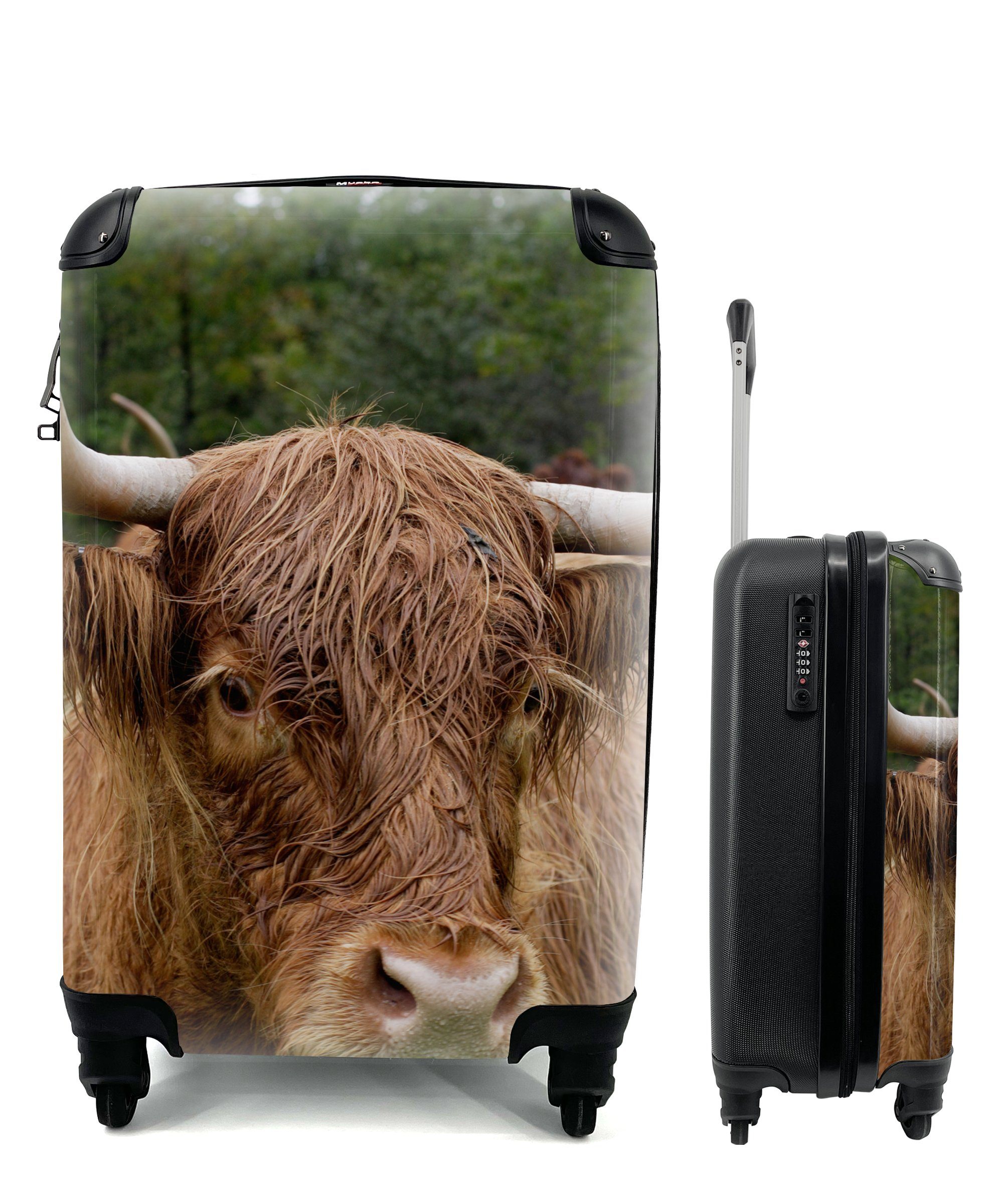 MuchoWow Handgepäckkoffer Schottische Highlander - Tiere - Gras, 4 Rollen, Reisetasche mit rollen, Handgepäck für Ferien, Trolley, Reisekoffer