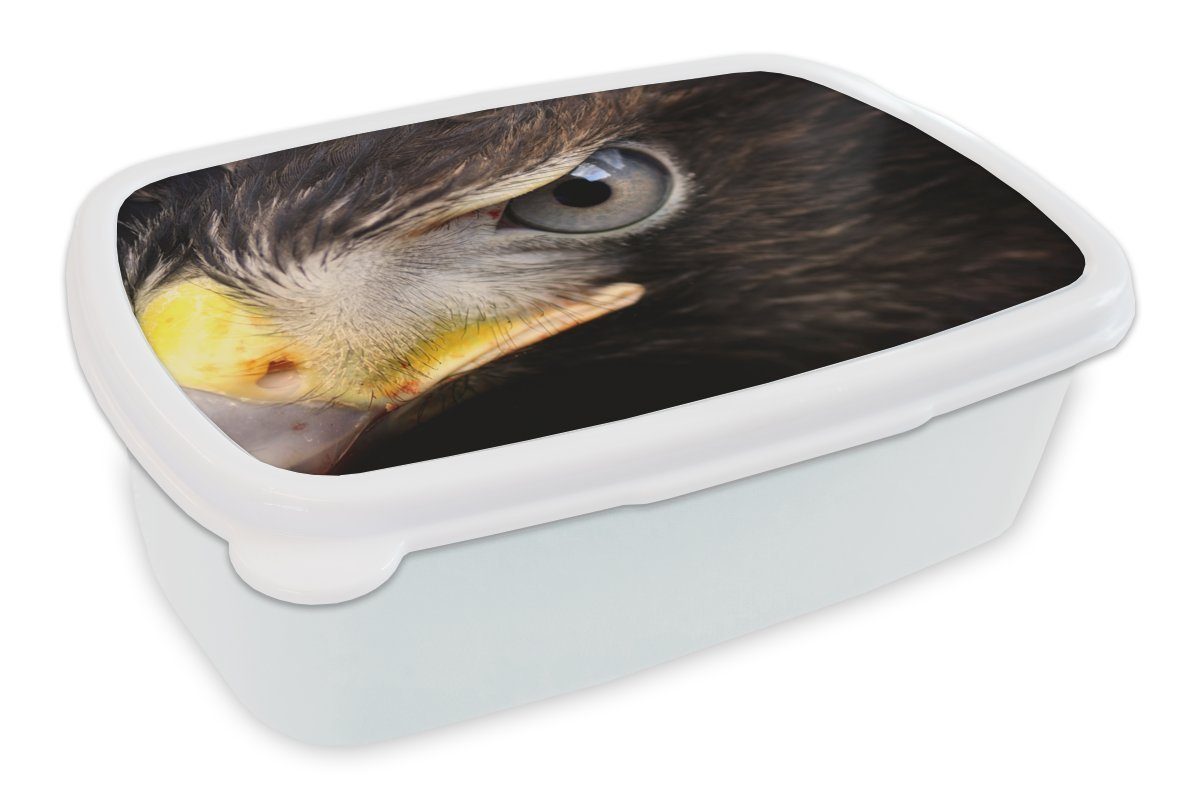 MuchoWow Lunchbox Nahaufnahme eines Raubvogels, Kunststoff, (2-tlg), Brotbox für Kinder und Erwachsene, Brotdose, für Jungs und Mädchen weiß