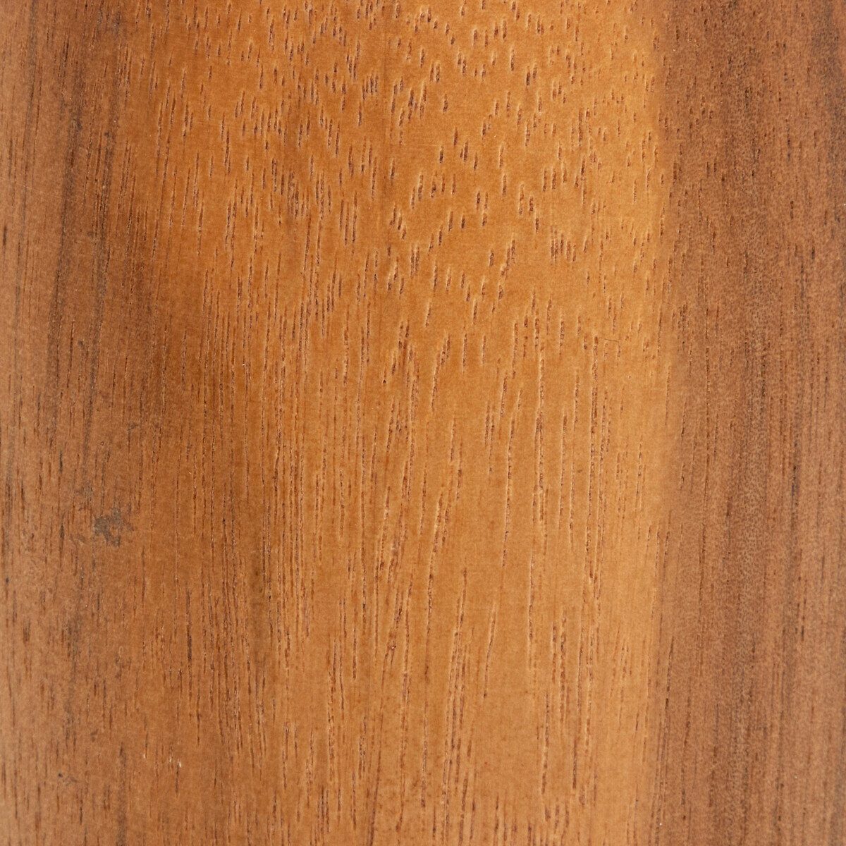 Atmosphera Créateur d'intérieur Dekovase SOLIFLORE (einzeln) günstig online kaufen