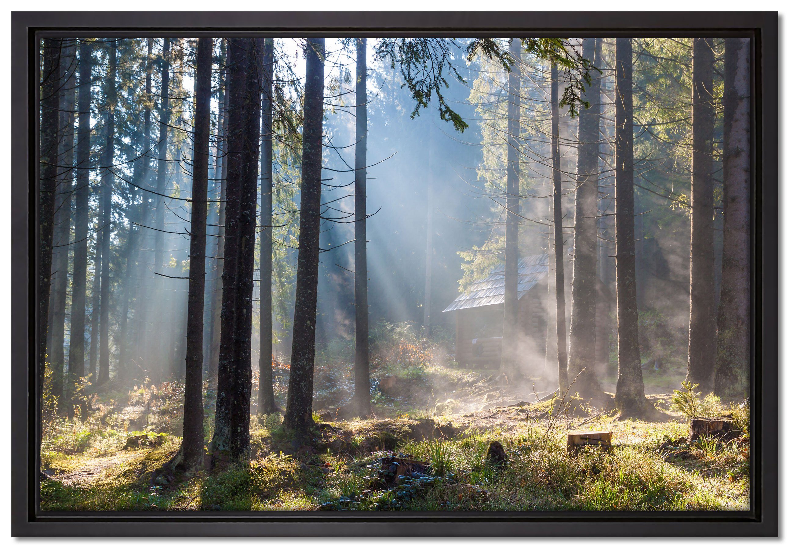 Pixxprint Leinwandbild Sonnenstrahlen im Wald, Wanddekoration (1 St), Leinwandbild fertig bespannt, in einem Schattenfugen-Bilderrahmen gefasst, inkl. Zackenaufhänger