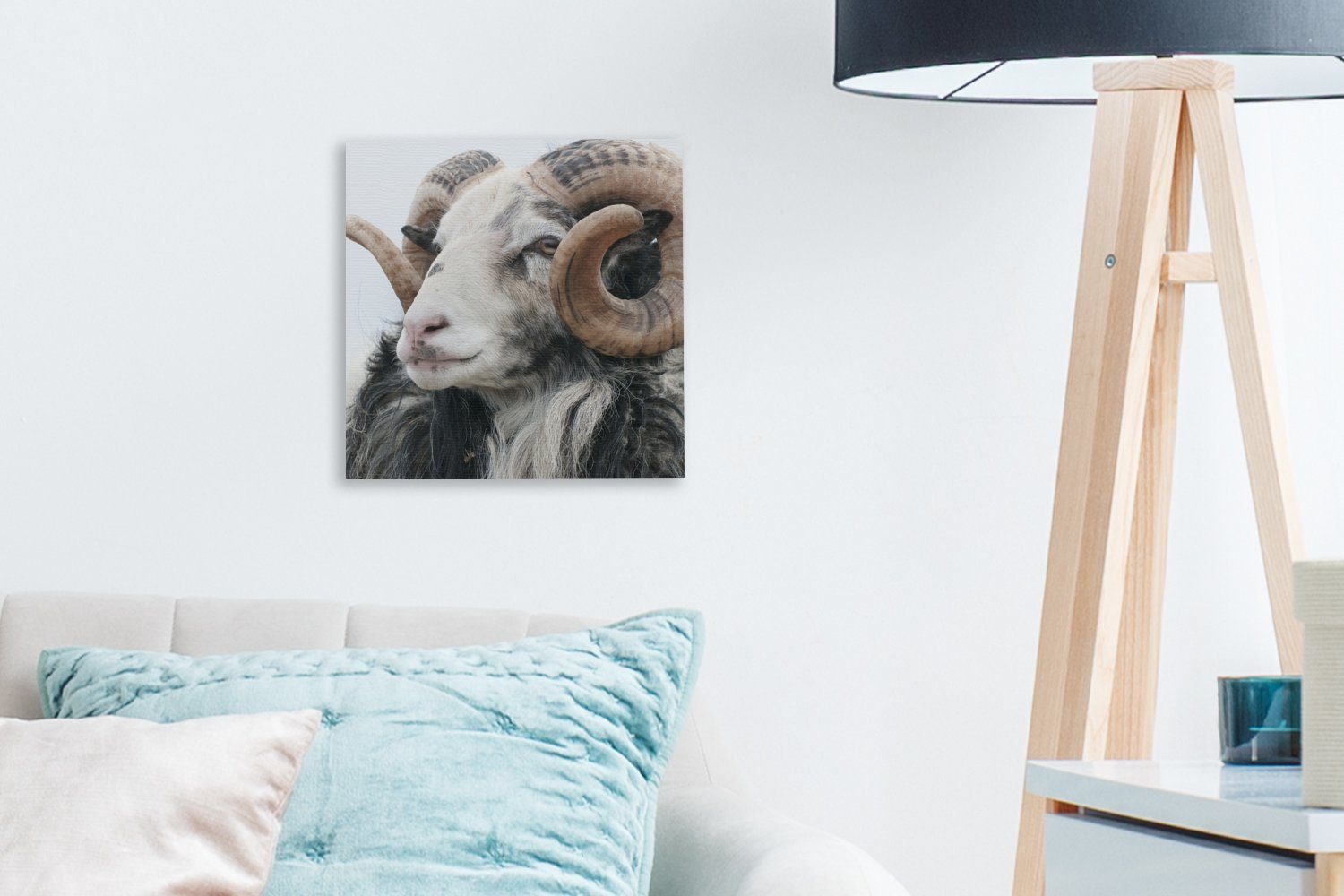 Bilder Leinwandbild St), bunt Wohnzimmer Schlafzimmer - Leinwand Tiere, (1 - Schafe OneMillionCanvasses® Horn für