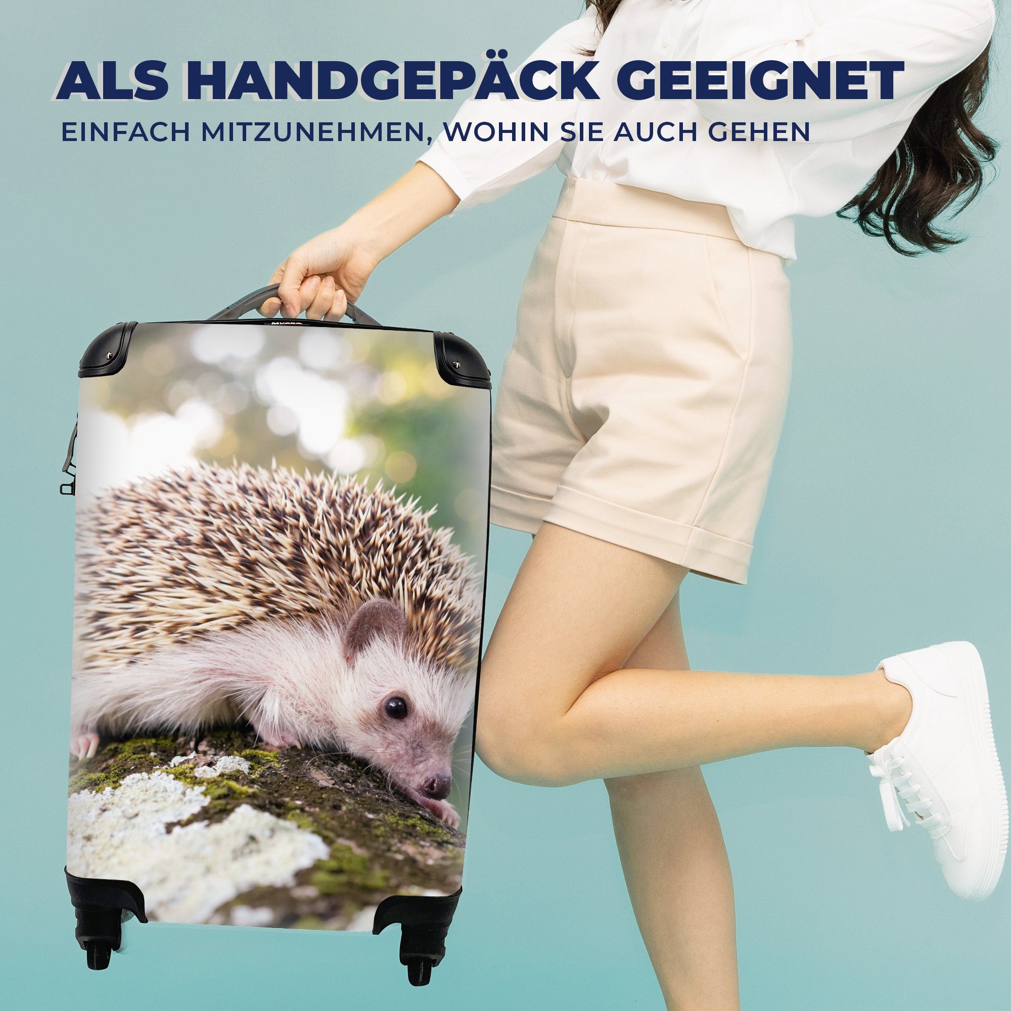 für Reisekoffer 4 Igel - Baby mit rollen, Baum, MuchoWow - Reisetasche Trolley, Handgepäckkoffer Handgepäck Rollen, Ferien,