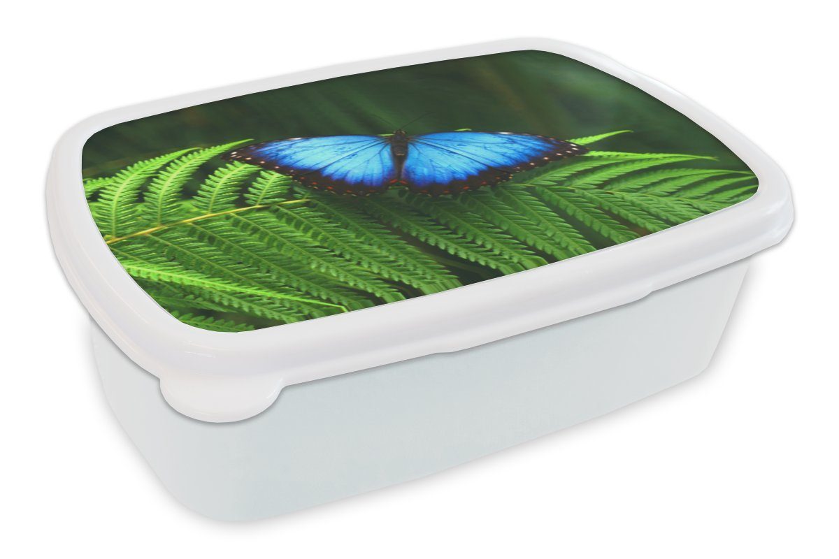 MuchoWow Lunchbox Morpho-Schmetterling, Kunststoff, (2-tlg), Brotbox für Kinder und Erwachsene, Brotdose, für Jungs und Mädchen weiß
