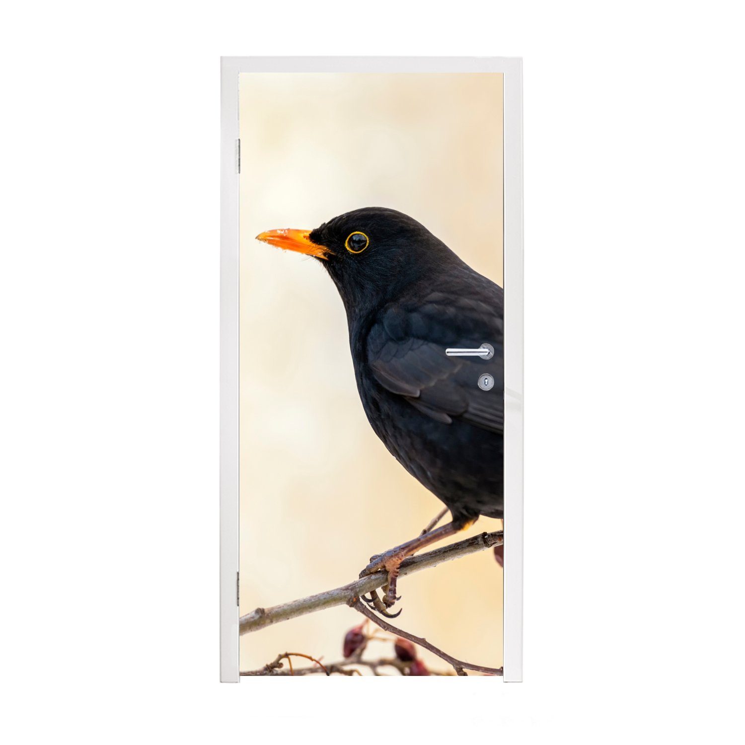 MuchoWow Türtapete Amsel - Vogel Fototapete Beere 75x205 für St), - Matt, bedruckt, Rot, (1 - cm - Zweige Türaufkleber, Tür