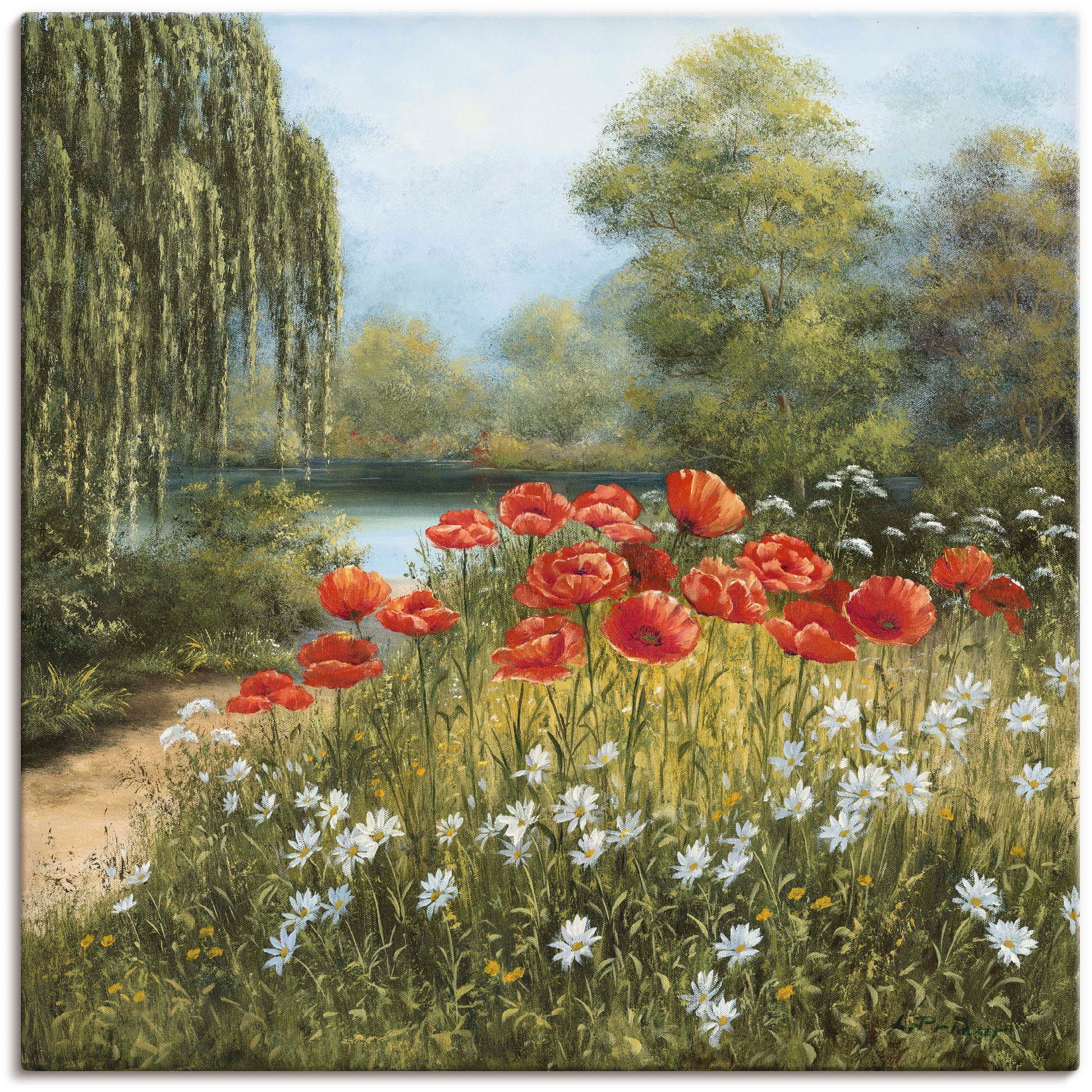 Wandbild Mohnwiese am See