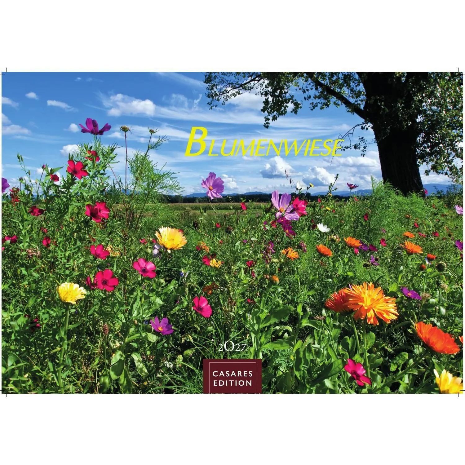 Wandkalender Blumenwiese Kalender 2027 - Wandkalender, Fotokalender...