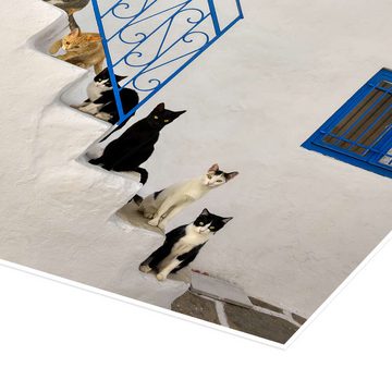 Posterlounge Poster Katho Menden, Katzen auf Treppe in Griechenland, Fotografie