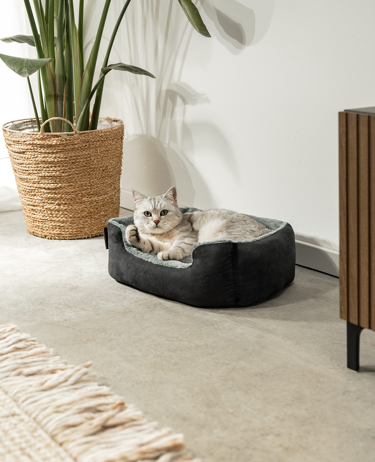 lionto Tierkissen für Katzen, Katzenbett mit Anti-Rutsch-Boden, 50x37 cm, schwarz/grau, Plüsch, Weiches Kuschelbett mit herausnehmbarem Wendekissen
