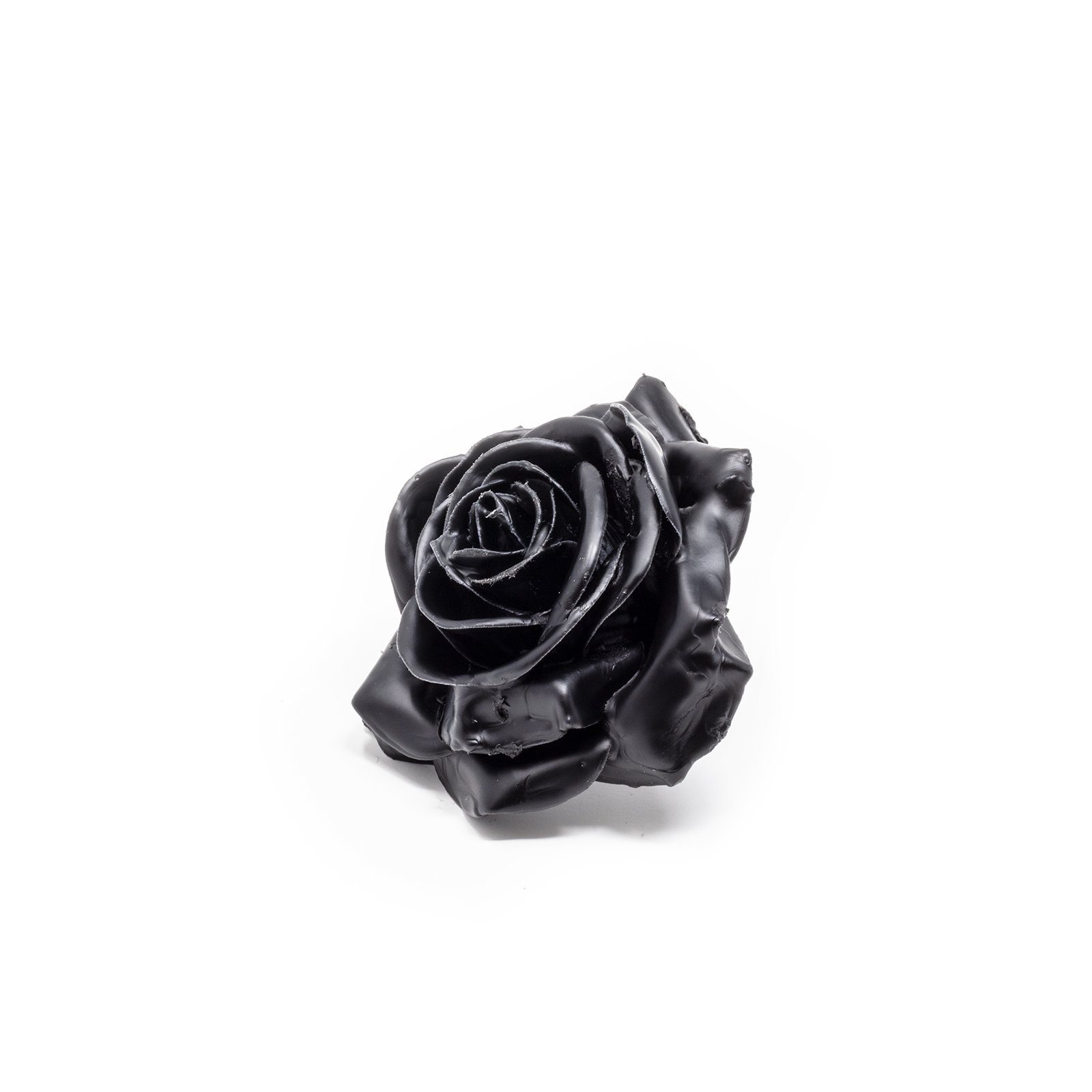 Trockenblume 12er Set Wachsrose - Black, Primera, Höhe 25 cm