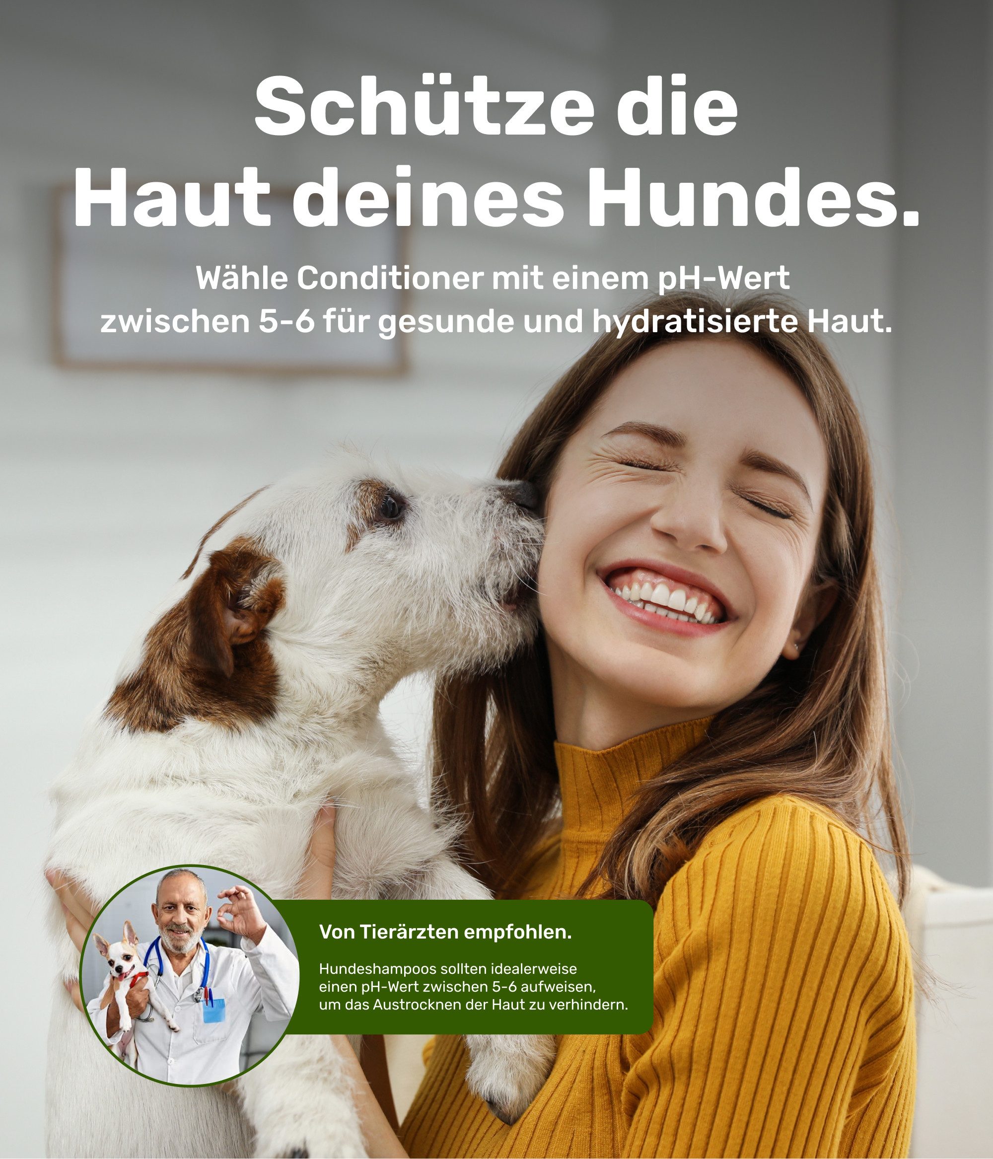 PetTec Tiershampoo Hundeconditioner Avocadoöl, 250 ml, Vegan, Made in Germany, allergenfrei
