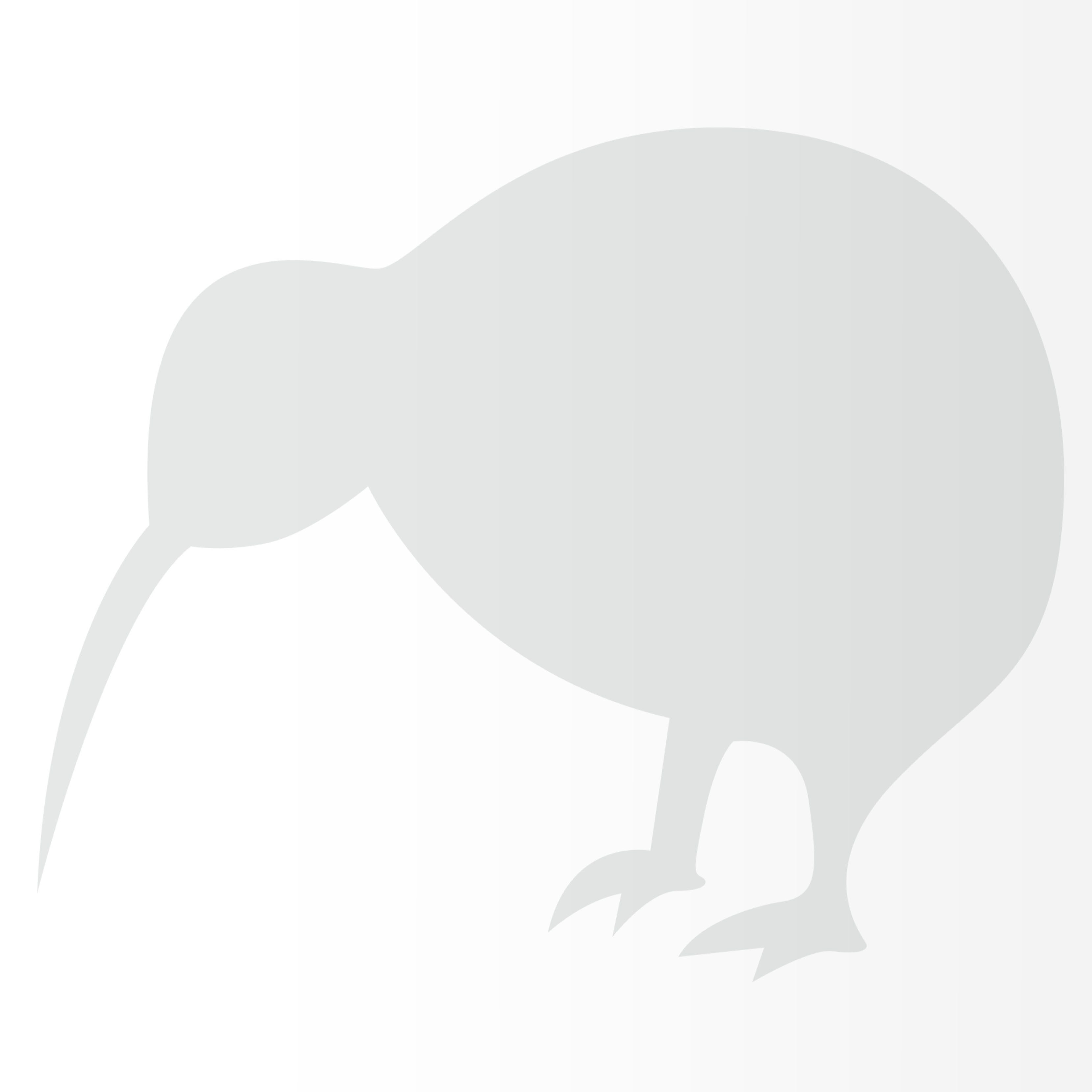 Nomiro Aufkleber Neuseeland Kiwi 131 x 99 mm, (1tlg), konturgeschnitten, ohne Hintergrund