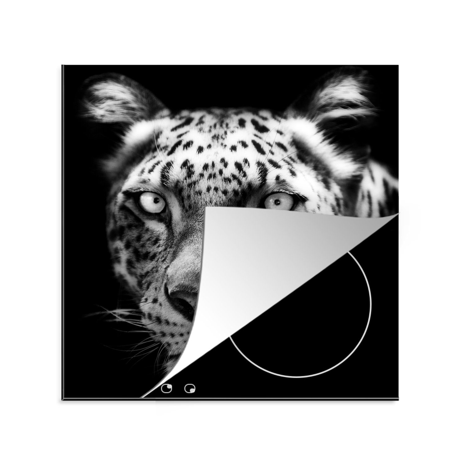 MuchoWow Herdblende-/Abdeckplatte Tierprofil Persischer Panther in schwarz und weiß, Vinyl, (1 tlg), 78x78 cm, Ceranfeldabdeckung, Arbeitsplatte für küche