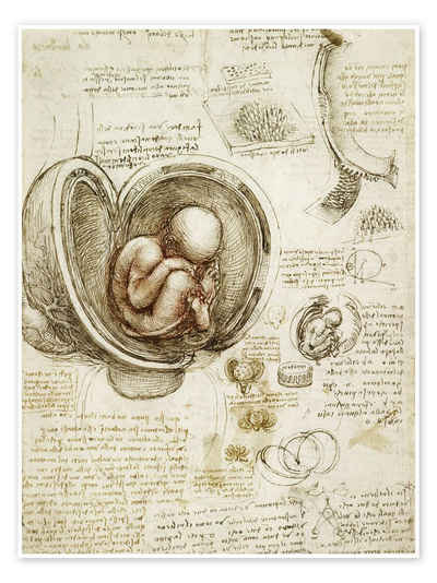 Posterlounge Poster Leonardo da Vinci, Studien des Embryos, Malerei