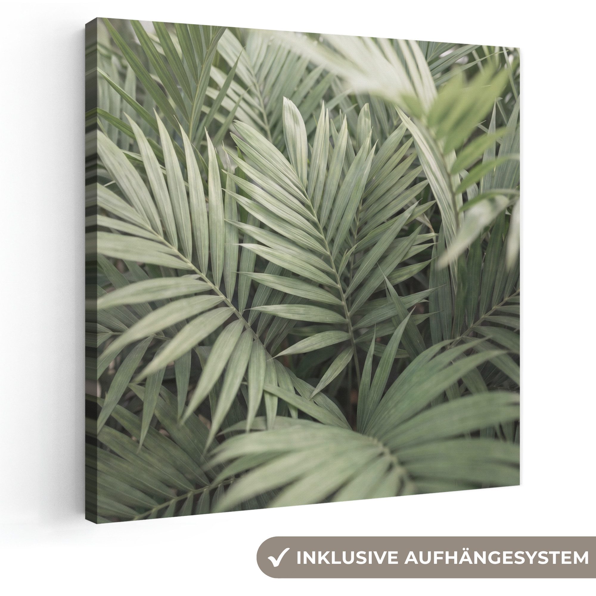 OneMillionCanvasses® Leinwandbild Pflanze – Palmblätter – Natur – Grün, Fotodruck (1 St), Wandbild, Deko Schlafzimmer Wohnzimmer Flur 20x20 cm