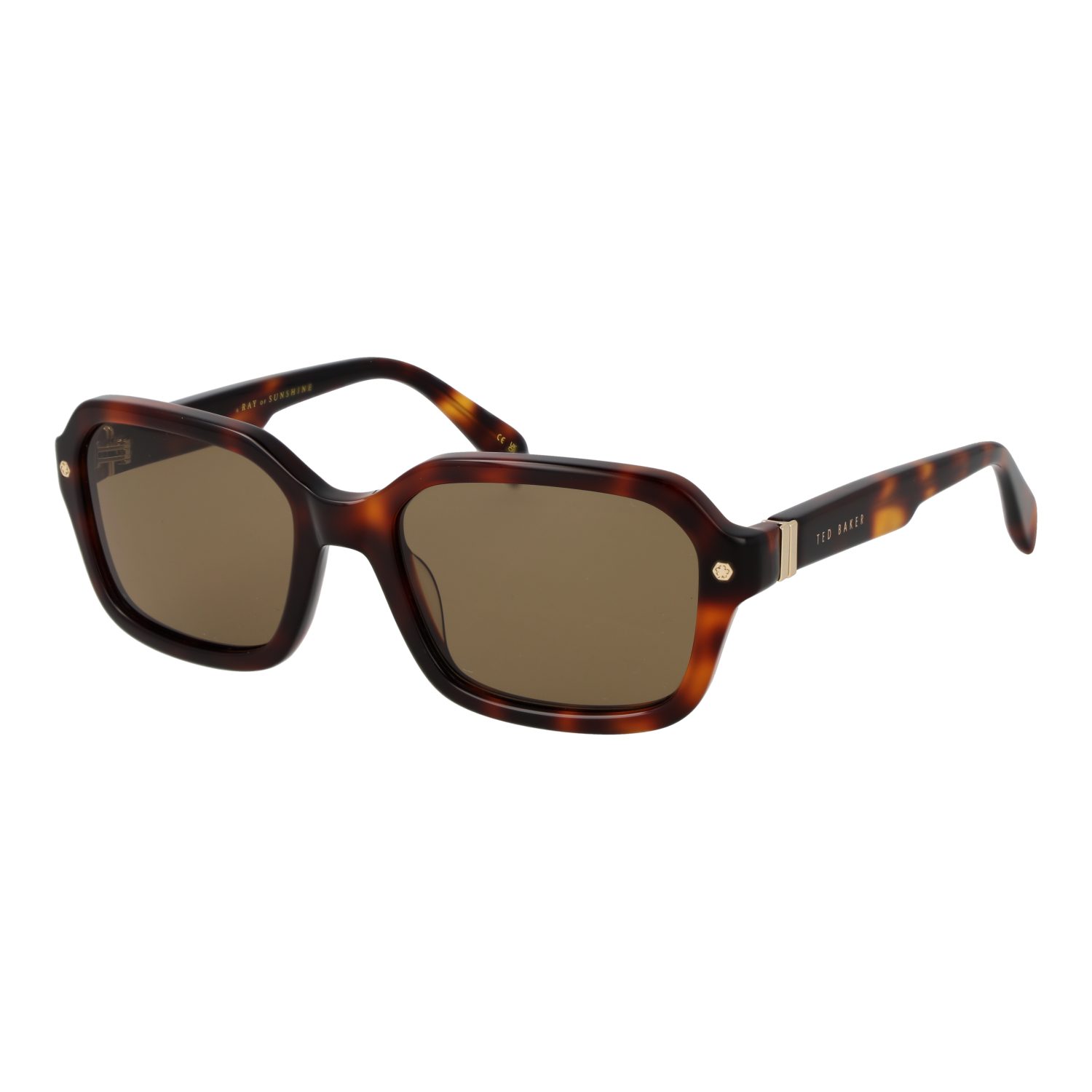 Ted Baker Sonnenbrille TB1697 55101