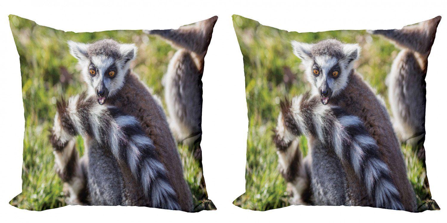 Kissenbezüge Modern Accent Doppelseitiger Digitaldruck, Abakuhaus (2 Stück), Lemur Ring angebundene lustiger Ausdruck