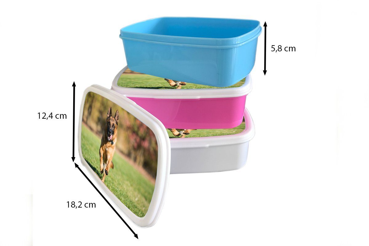 MuchoWow Lunchbox Ein Deutscher Schäferhund (2-tlg), sprintet Kunststoff rosa für Kinder, Brotdose Brotbox durch Erwachsene, Kunststoff, grüne Gras, das Snackbox, Mädchen