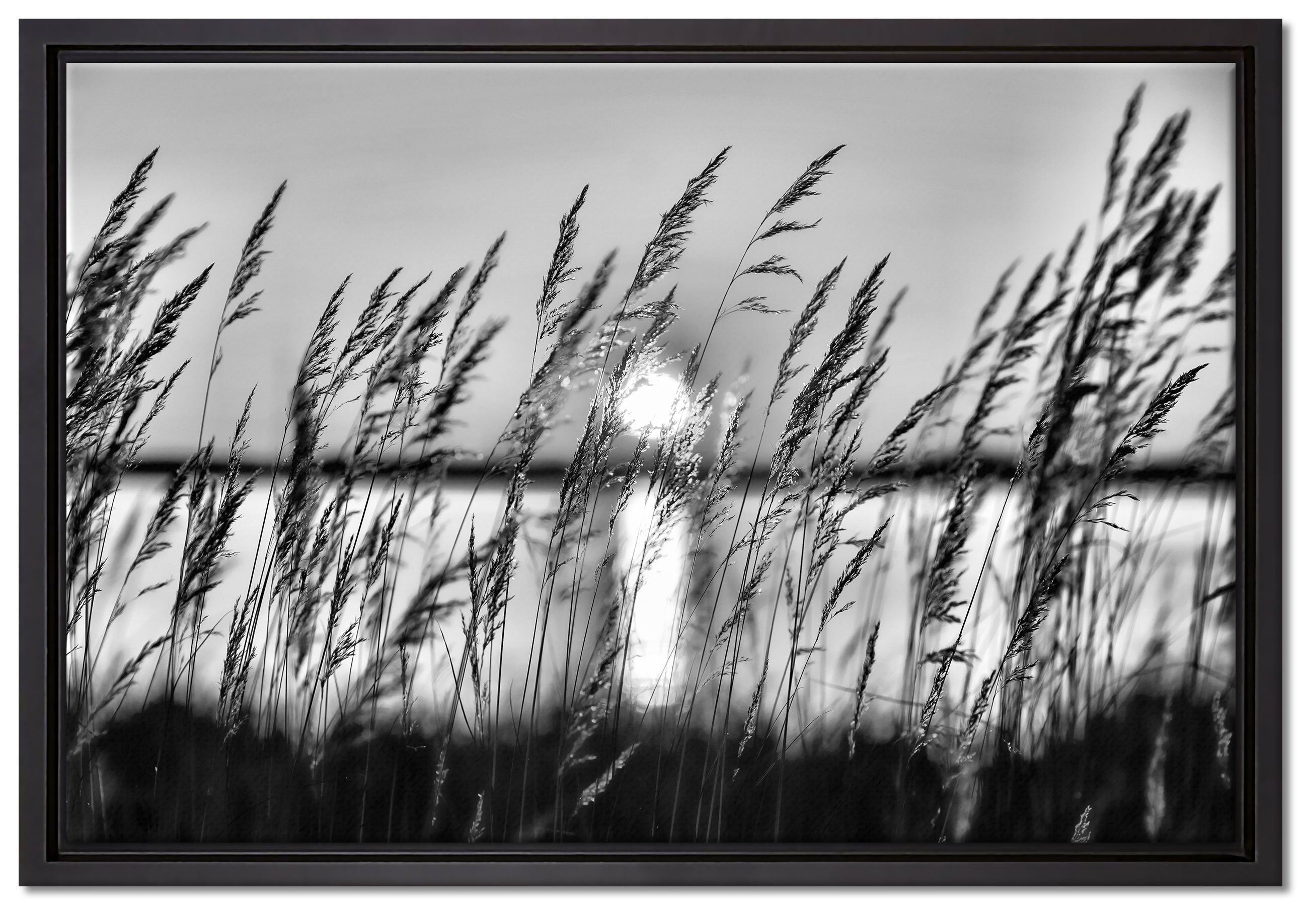 Pixxprint Leinwandbild Sonne zwischen Gräsern, in Schattenfugen-Bilderrahmen Leinwandbild Zackenaufhänger einem gefasst, inkl. St), Wanddekoration (1 bespannt, fertig