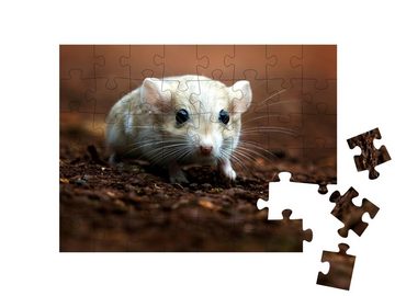 puzzleYOU Puzzle Niedliche Rennmaus mit roßen dunklen Augen, 48 Puzzleteile, puzzleYOU-Kollektionen Springmaus, Tiere in Savanne & Wüste