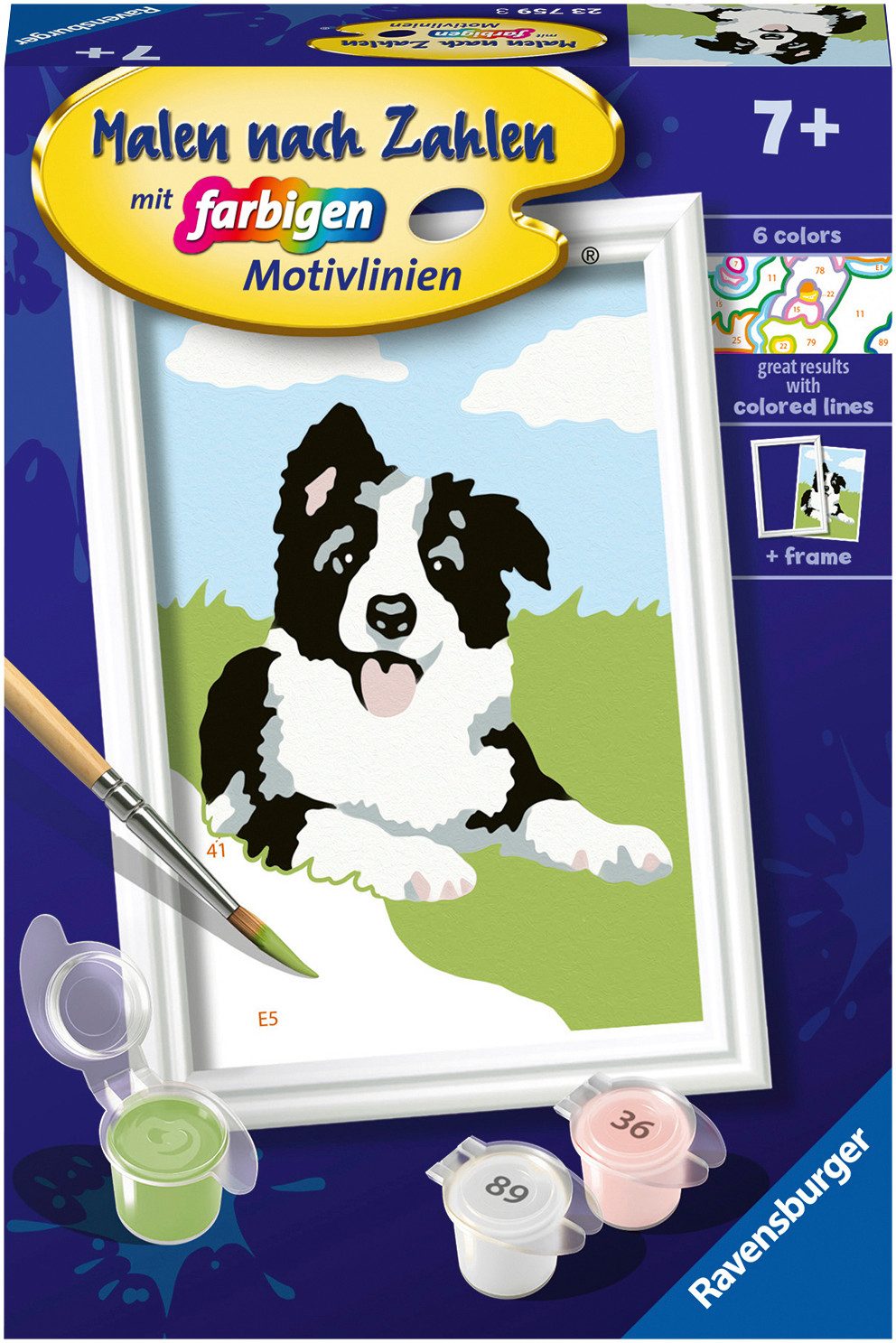 Ravensburger Malen nach Zahlen CreArt, Border Collie Welpe, Made in Europe, FSC® - schützt Wald - weltweit