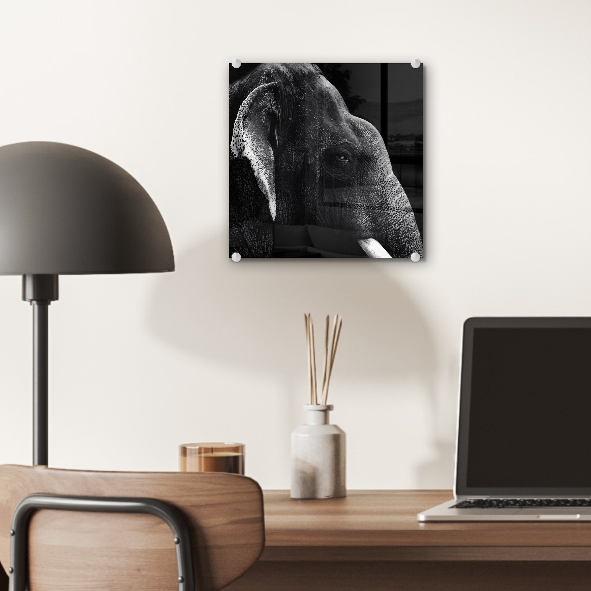 - Glas auf - (1 Glas schwarz auf St), MuchoWow in schwarzem Acrylglasbild Glasbilder Wanddekoration auf und Wandbild weiß, Hintergrund Foto - Bilder Elefant