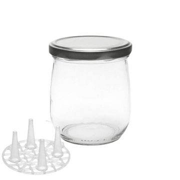 mikken Fermentationsglas Fermentier Set 6 Fermentiergläser 415 ml Tulpenglas, (6er Set, Start-Set zum Fermentieren mit 6 Gläsern), inkl. Deckel PVC-frei und Holzstößel