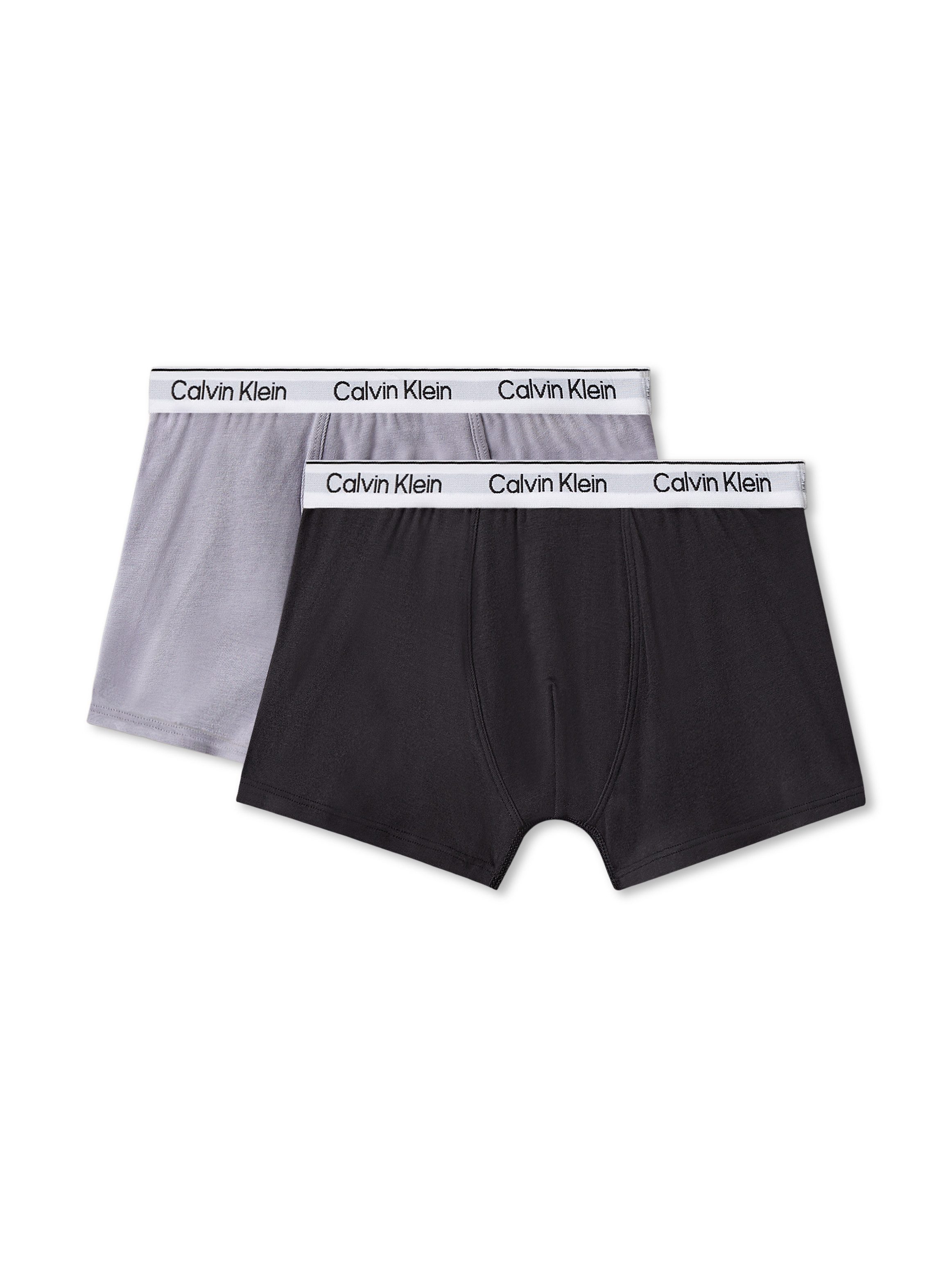Calvin Klein Underwear Trunk 2PK TRUNK (Packung, 2-St., 2er-Pack) mit Logobund